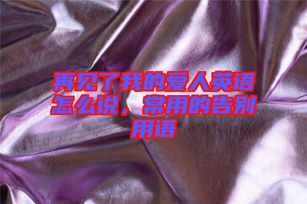 再見了我的愛人英語怎么說，常用的告別用語