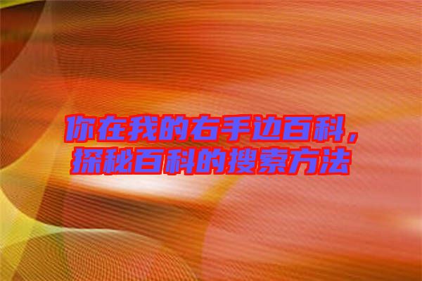 你在我的右手邊百科，探秘百科的搜索方法