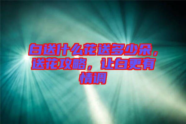 白送什么花送多少朵，送花攻略，讓白更有情調(diào)