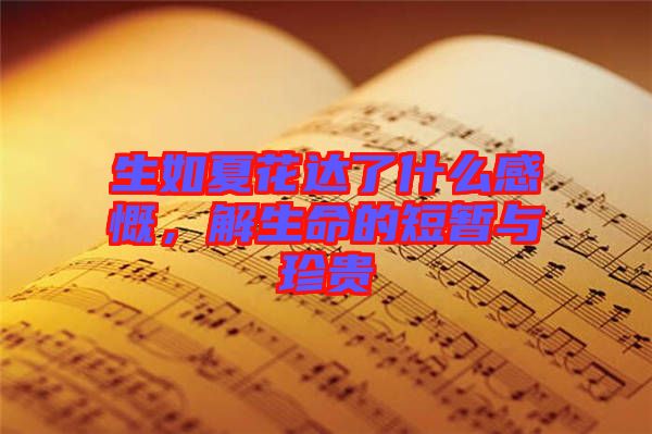 生如夏花達了什么感慨，解生命的短暫與珍貴