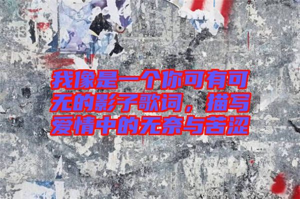 我像是一個(gè)你可有可無的影子歌詞，描寫愛情中的無奈與苦澀
