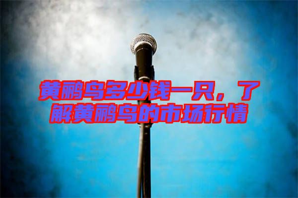 黃鸝鳥(niǎo)多少錢(qián)一只，了解黃鸝鳥(niǎo)的市場(chǎng)行情