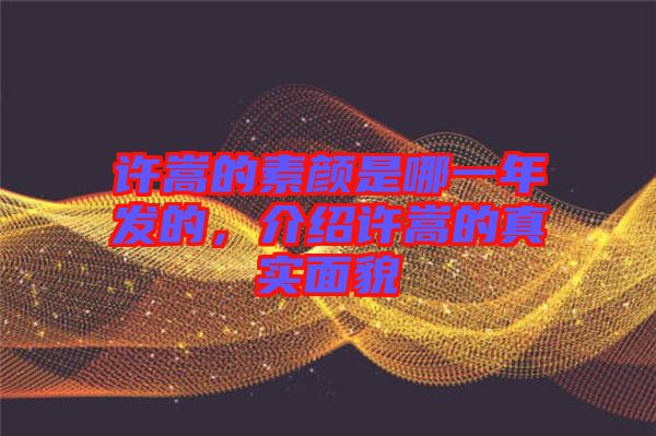 許嵩的素顏是哪一年發(fā)的，介紹許嵩的真實(shí)面貌