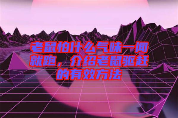 老鼠怕什么氣味一聞就跑，介紹老鼠驅(qū)趕的有效方法