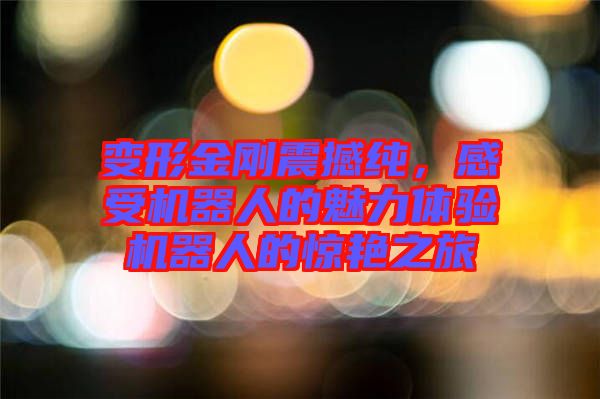 變形金剛震撼純，感受機(jī)器人的魅力體驗機(jī)器人的驚艷之旅