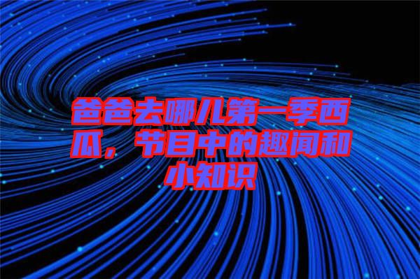 爸爸去哪兒第一季西瓜，節(jié)目中的趣聞和小知識(shí)