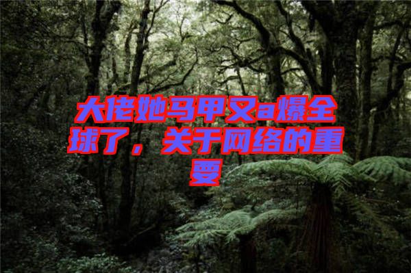大佬她馬甲又a爆全球了，關(guān)于網(wǎng)絡(luò)的重要
