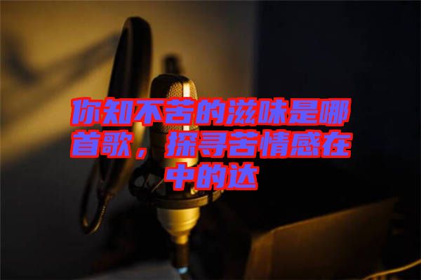 你知不苦的滋味是哪首歌，探尋苦情感在中的達(dá)