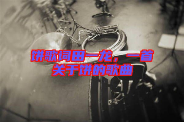 餅歌詞田一龍，一首關(guān)于餅的歌曲