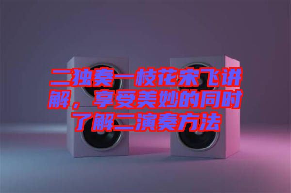 二獨(dú)奏一枝花宋飛講解，享受美妙的同時(shí)了解二演奏方法