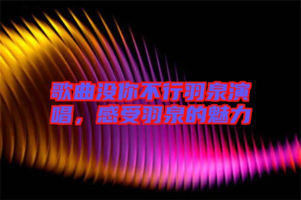 歌曲沒你不行羽泉演唱，感受羽泉的魅力