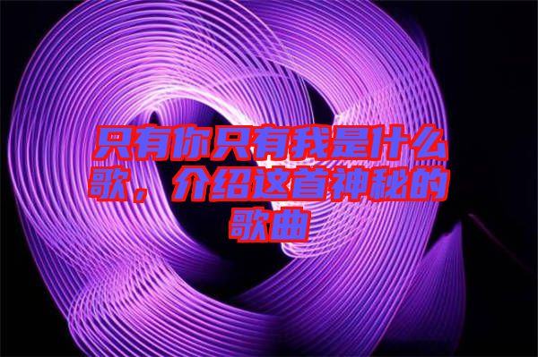 只有你只有我是什么歌，介紹這首神秘的歌曲