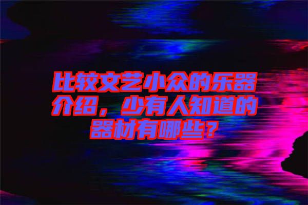 比較文藝小眾的樂器介紹，少有人知道的器材有哪些？