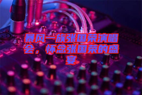暴風一族張國榮演唱會，懷念張國榮的盛宴