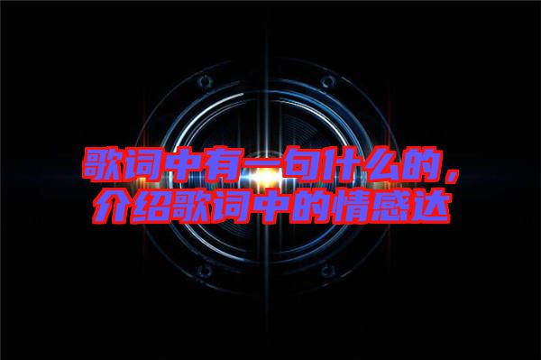 歌詞中有一句什么的，介紹歌詞中的情感達(dá)