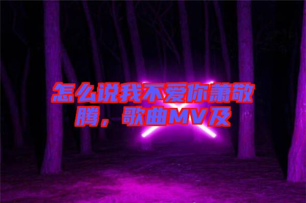 怎么說我不愛你蕭敬騰，歌曲MV及