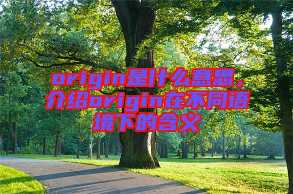 origin是什么意思，介紹origin在不同語境下的含義