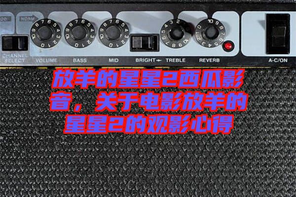 放羊的星星2西瓜影音，關(guān)于電影放羊的星星2的觀影心得
