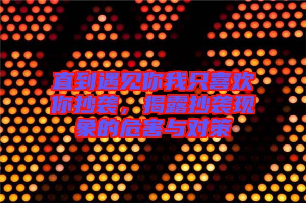 直到遇見你我只喜歡你抄襲，揭露抄襲現(xiàn)象的危害與對策