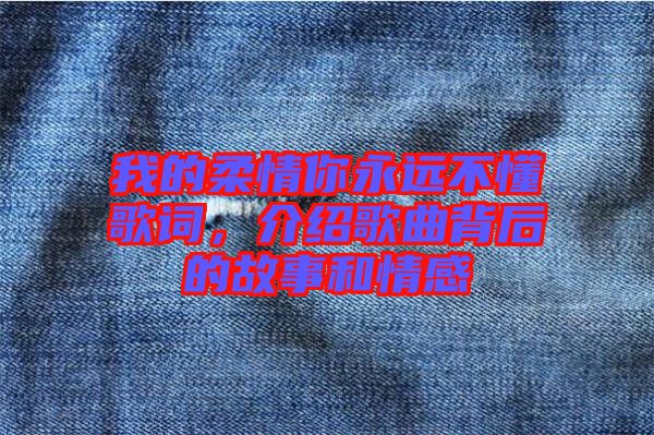 我的柔情你永遠不懂歌詞，介紹歌曲背后的故事和情感