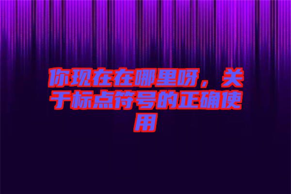 你現(xiàn)在在哪里呀，關(guān)于標點符號的正確使用