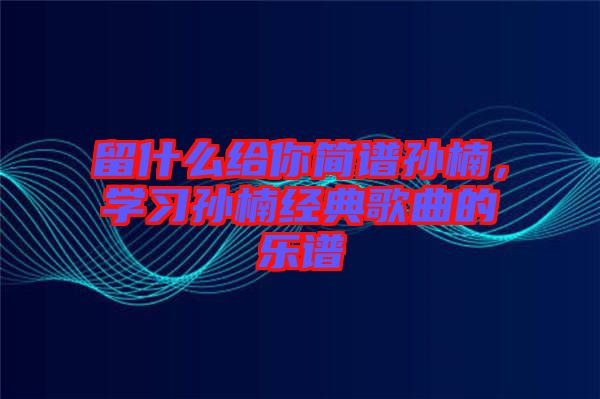 留什么給你簡譜孫楠，學(xué)習(xí)孫楠經(jīng)典歌曲的樂譜