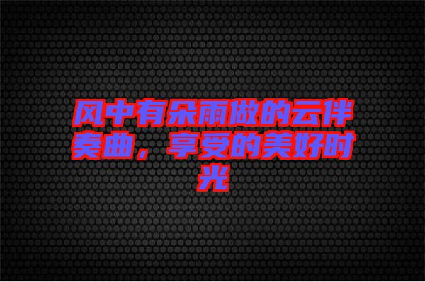 風(fēng)中有朵雨做的云伴奏曲，享受的美好時(shí)光