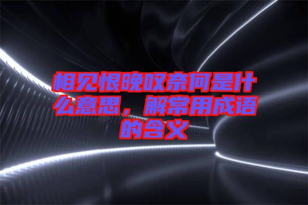 相見恨晚嘆奈何是什么意思，解常用成語的含義