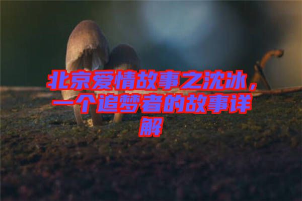 北京愛情故事之沈冰，一個追夢者的故事詳解
