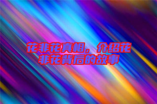 花非花真相，介紹花非花背后的故事