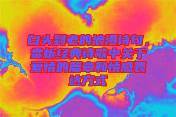 白頭到老的浪漫詩句，賞析經(jīng)典詩歌中關(guān)于愛情的篇章和情感表達方式
