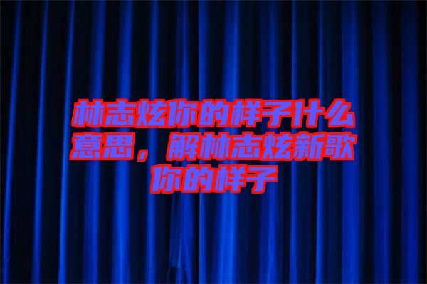 林志炫你的樣子什么意思，解林志炫新歌你的樣子