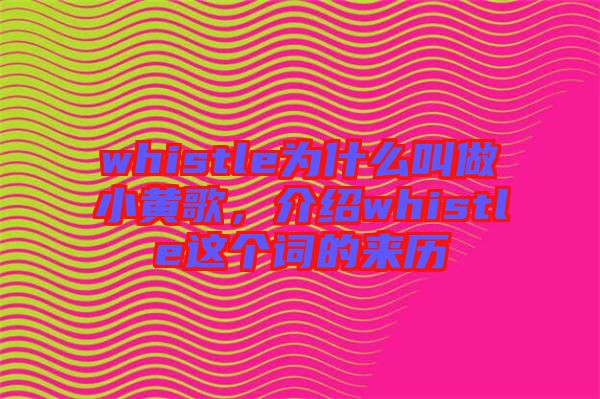 whistle為什么叫做小黃歌，介紹whistle這個(gè)詞的來歷