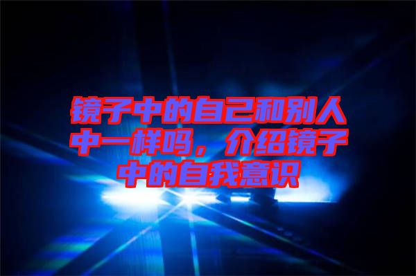 鏡子中的自己和別人中一樣嗎，介紹鏡子中的自我意識