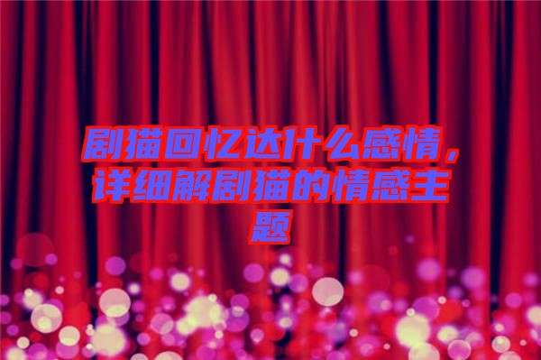 劇貓回憶達什么感情，詳細解劇貓的情感主題