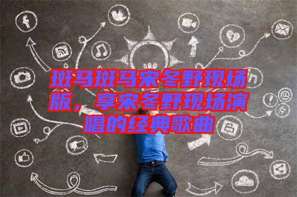 斑馬斑馬宋冬野現(xiàn)場版，享宋冬野現(xiàn)場演唱的經(jīng)典歌曲