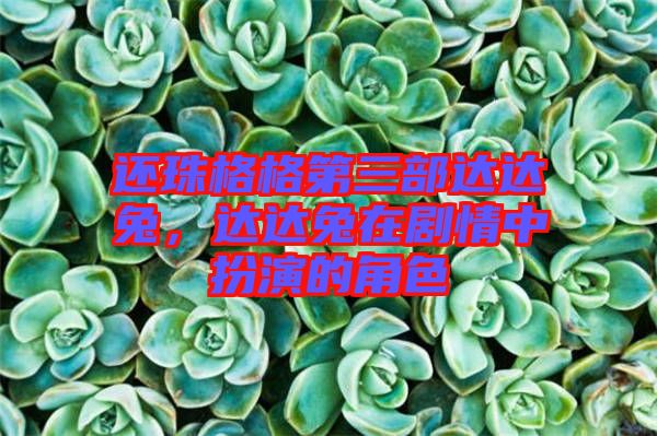 還珠格格第三部達(dá)達(dá)兔，達(dá)達(dá)兔在劇情中扮演的角色