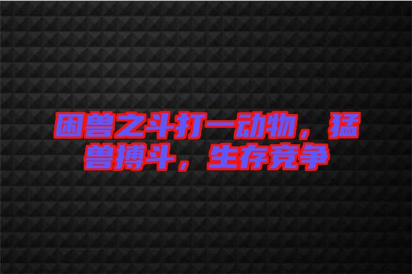 困獸之斗打一動(dòng)物，猛獸搏斗，生存競(jìng)爭(zhēng)