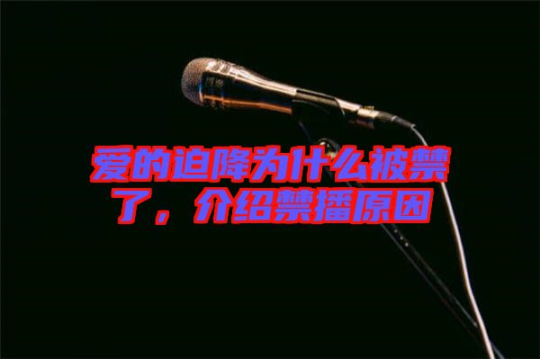 愛的迫降為什么被禁了，介紹禁播原因