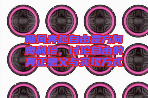 隨風(fēng)奔跑自由是方向奧利給，討論自由的真正意義與實(shí)現(xiàn)方式