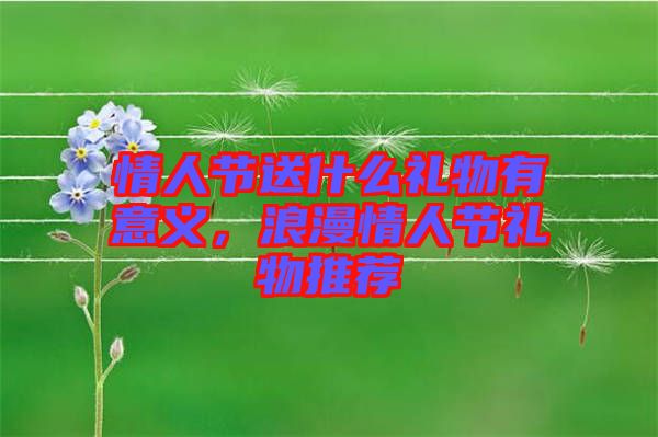 情人節(jié)送什么禮物有意義，浪漫情人節(jié)禮物推薦