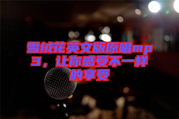 雪絨花英文版原唱mp3，讓你感受不一樣的享受