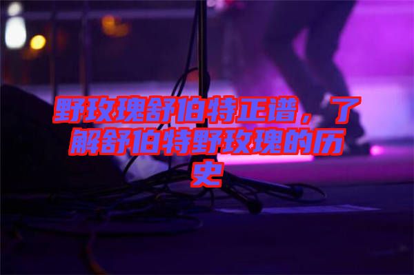 野玫瑰舒伯特正譜，了解舒伯特野玫瑰的歷史