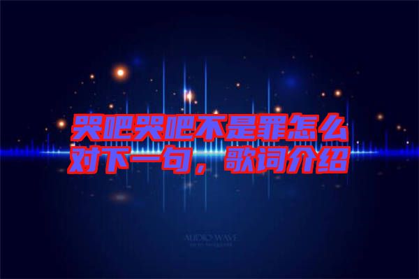 哭吧哭吧不是罪怎么對下一句，歌詞介紹