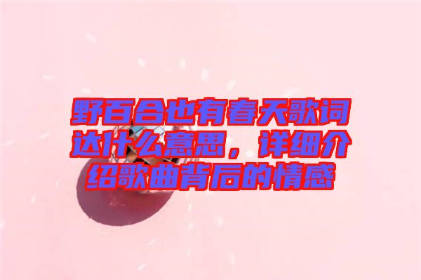 野百合也有春天歌詞達什么意思，詳細介紹歌曲背后的情感