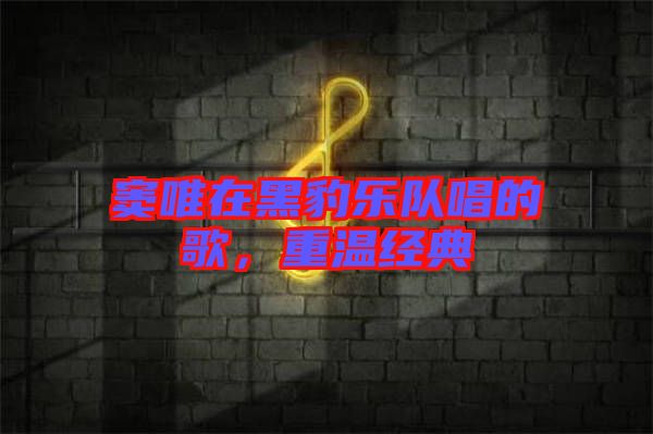 竇唯在黑豹樂隊(duì)唱的歌，重溫經(jīng)典