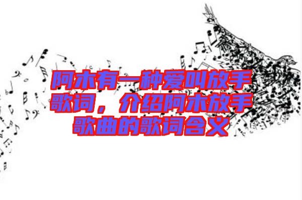 阿木有一種愛叫放手歌詞，介紹阿木放手歌曲的歌詞含義