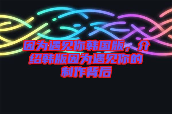 因?yàn)橛鲆娔沩n國版，介紹韓版因?yàn)橛鲆娔愕闹谱鞅澈? width=