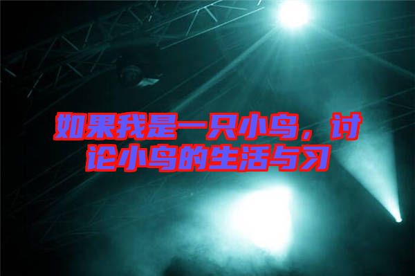 如果我是一只小鳥，討論小鳥的生活與習(xí)