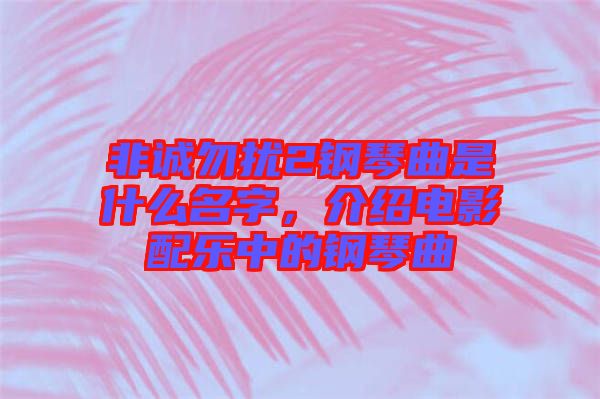 非誠(chéng)勿擾2鋼琴曲是什么名字，介紹電影配樂(lè)中的鋼琴曲